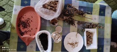 Praca z mikroskopem.