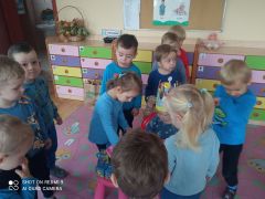 większy obrazek nr 9