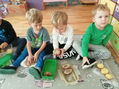 Prezentacja stempli wykonanych z ziemniaków