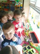 Prace pielęgnacyjne w zielonym ogródku na parapecie