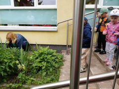 Przesadzanie roślin z sali na grządkę przedszkolną