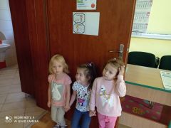 większy obrazek nr 3