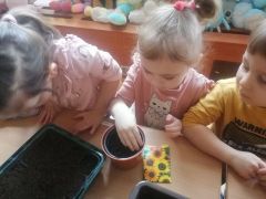 Urządzamy "zielony ogródek na parapecie"