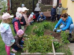 ogródek