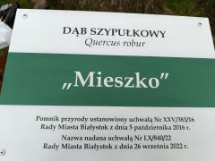 Dzień drzewa