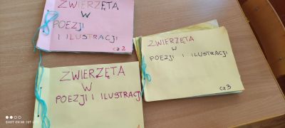 większy obrazek nr 24