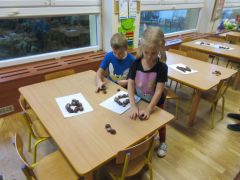 kasztanowe litery