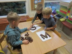 kasztanowe litery