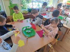 tulipany