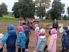 Wykopki 