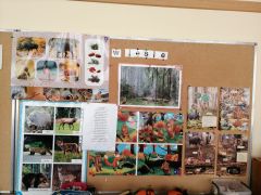 ilustracja do wpisu 
Co robią zwierzęta jesienią