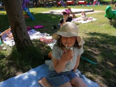 Piknik