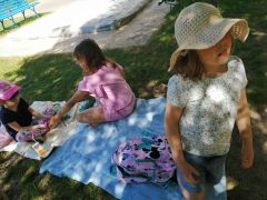 Piknik