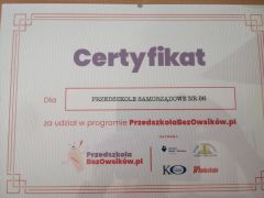 większy obrazek nr 7