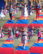 Pokaz mody 